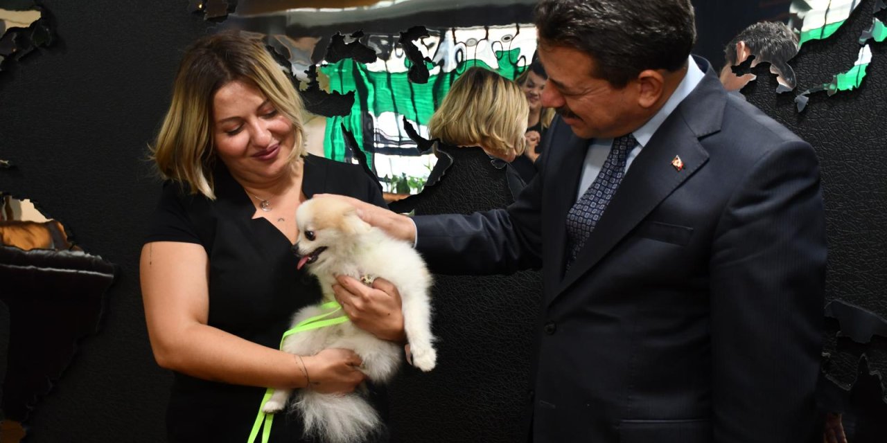 Eskişehir'de şiddet gören köpeği zabıt katibi sahiplendi