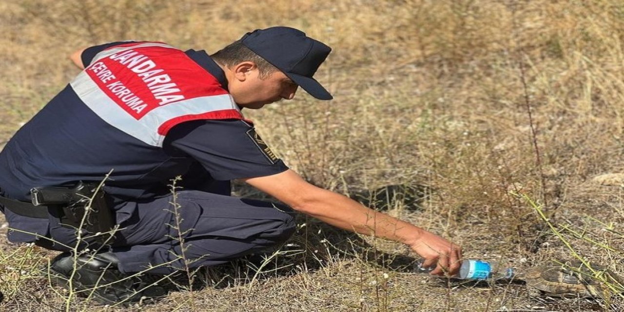 Yol kenarında mahsur kalan  minik kaplumbağa böyle kurtarıldı