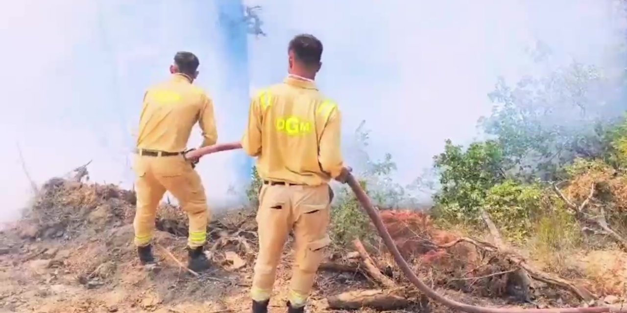 Bolu'da 3 gün önce çıkan orman yangını devam ediyor
