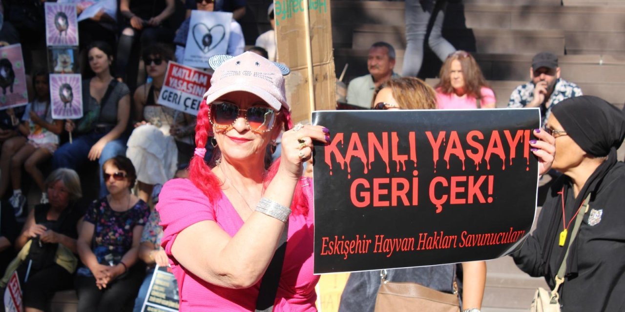 Sokak hayvanlarına yönelik yasaya tepkiler sürüyor