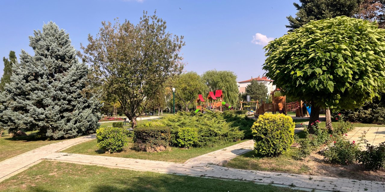 Eskişehir'de vatandaşlar bu parktan şikayetçi!