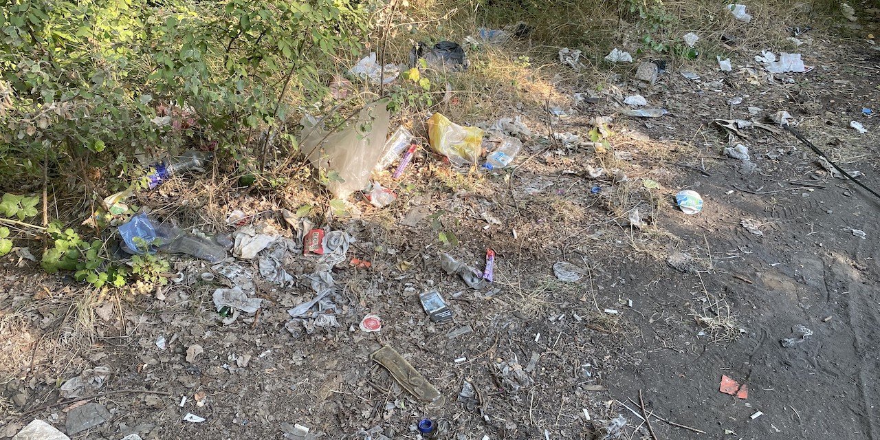 Eskişehir'deki piknik alanında utanç verici görüntüler