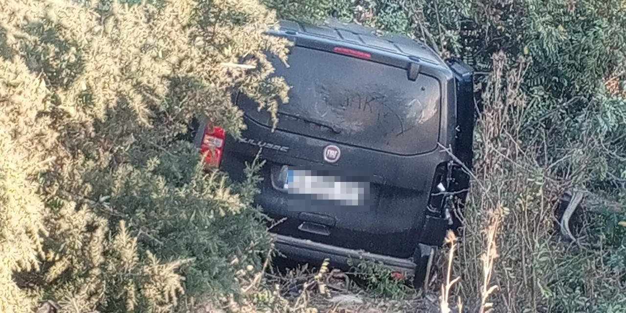 Kontrolden çıkarak ağaçlık alana girdi: 5 yaralı