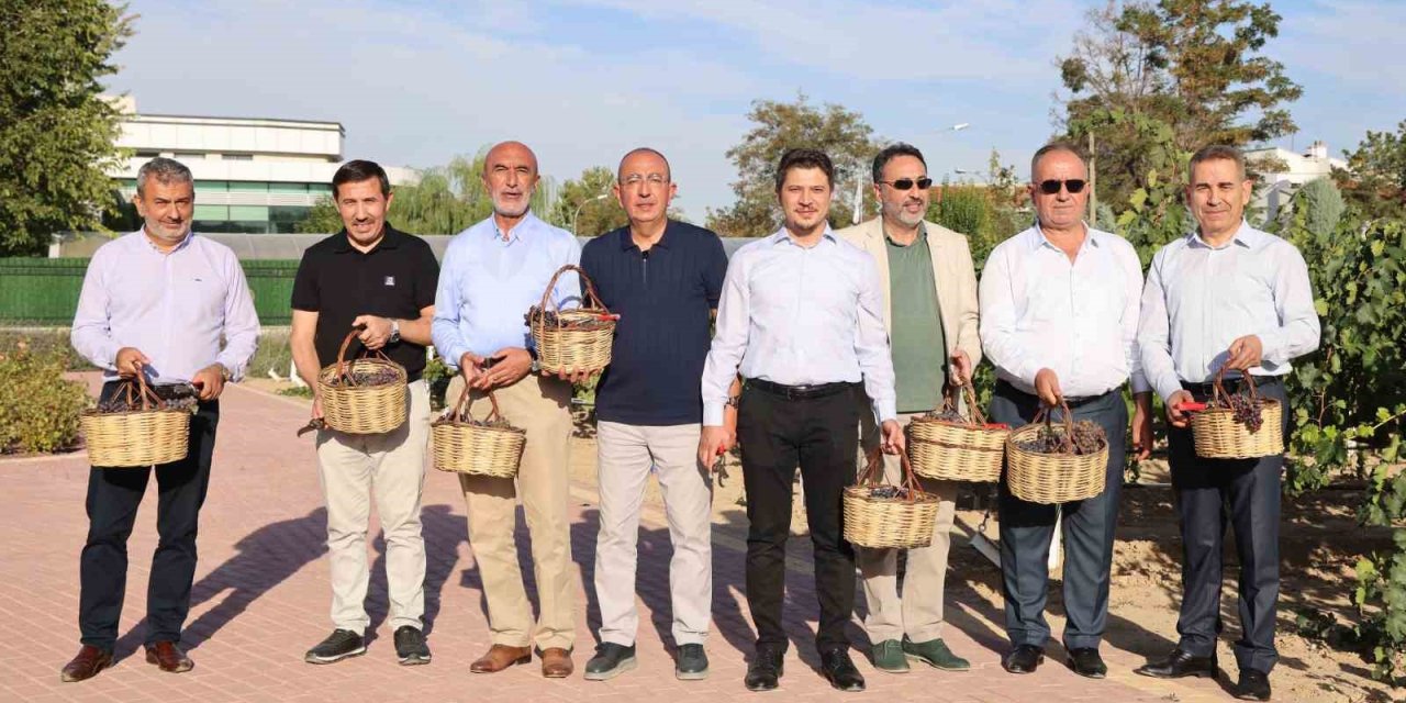 Pekmez ve bulgur kaynatma etkinliği için Meram Bağı’nda üçüncü kez kazanlar kuruldu