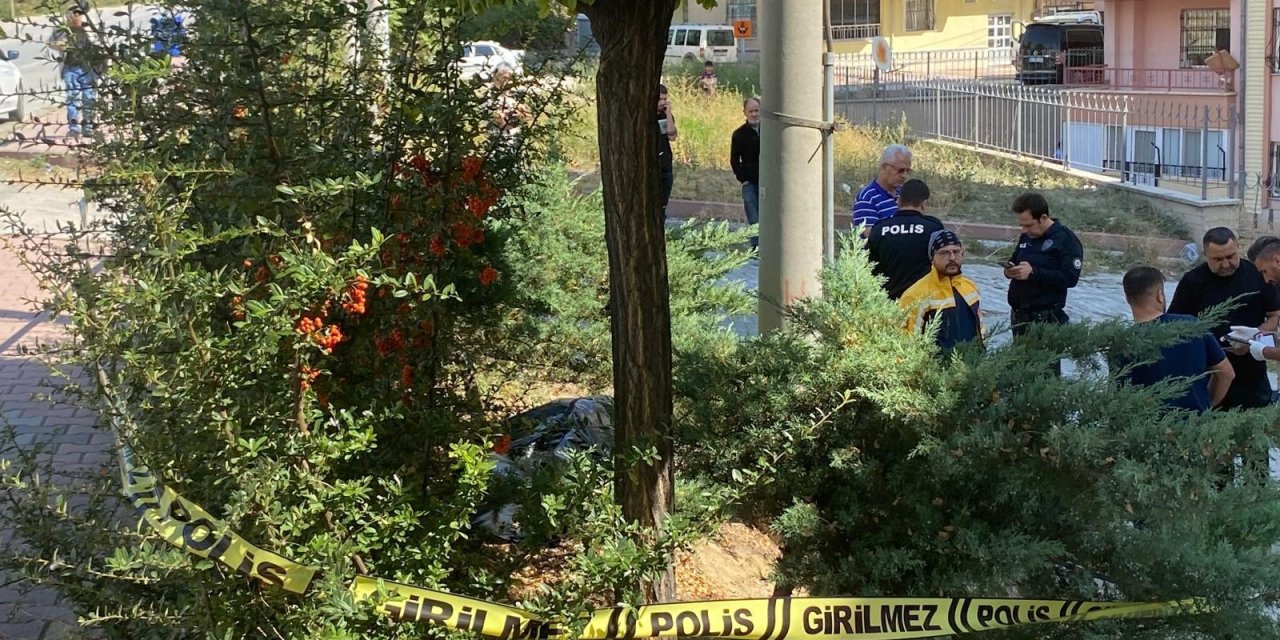 Çalılıkların içinden bir erkek cesedi çıktı