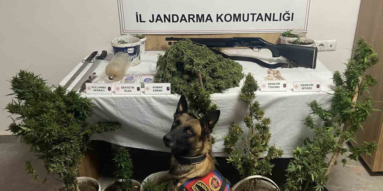 Jandarmadan uyuşturucu operasyonu:6 gözaltı