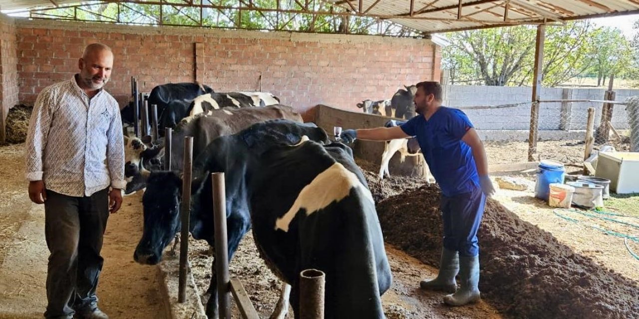 Afyon'da aşılama programı devam ediyor