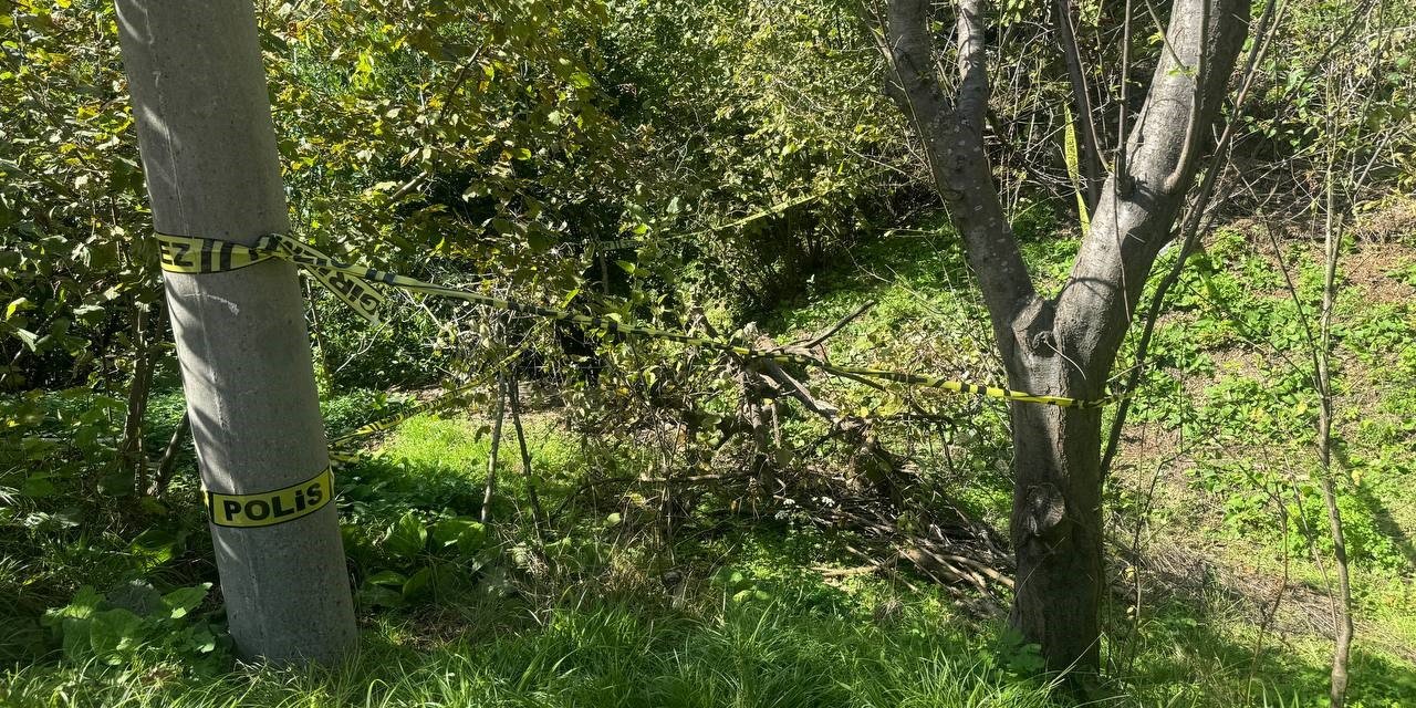 Domuz zannettiğini kadını vurarak öldürdü