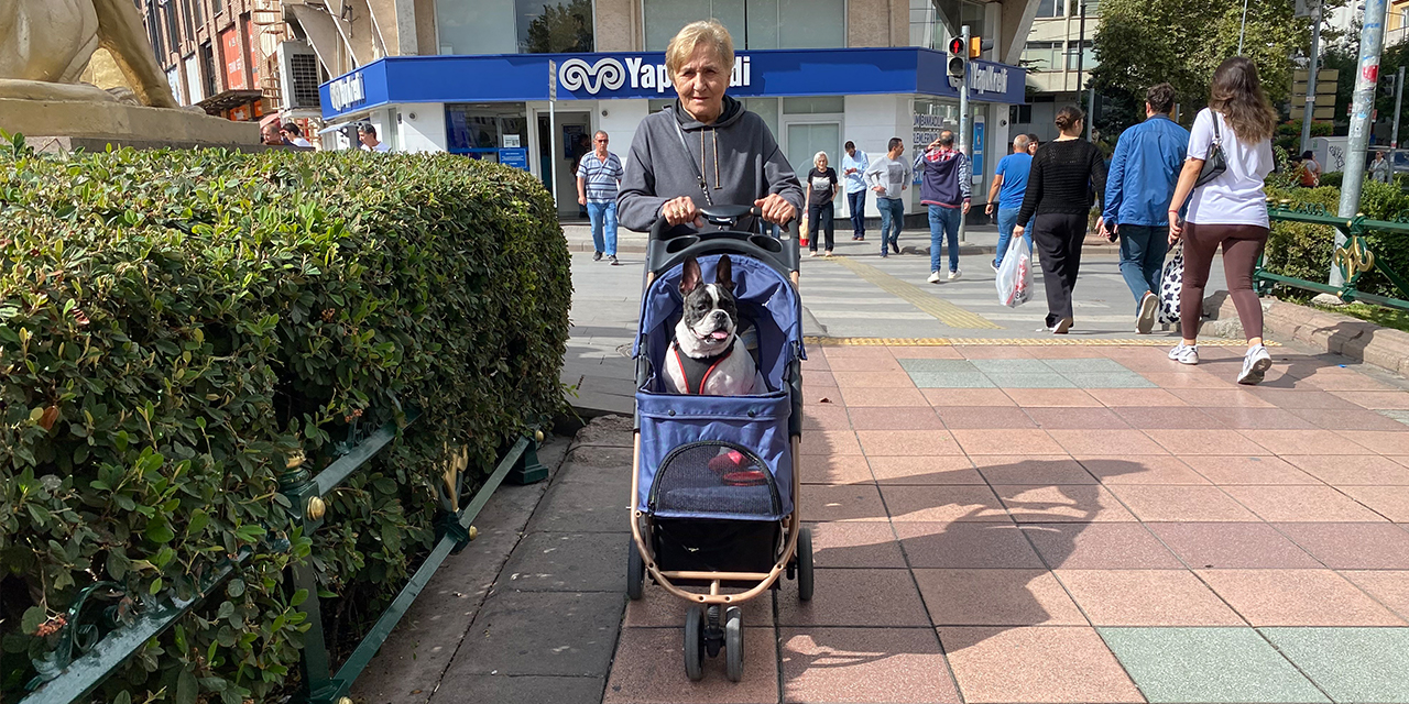 Köpeğini bebek gibi gezdiren kadın görenlerin ilgisini çekiyor