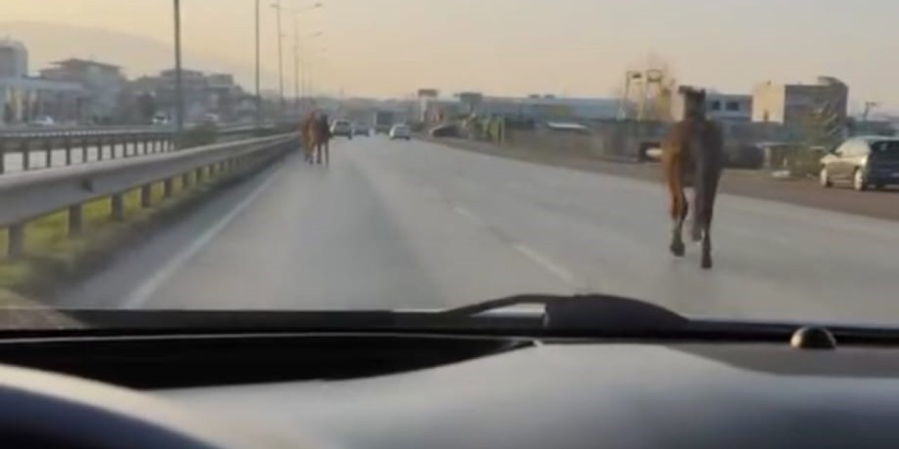 Bursa'da sürücüler ölümle burun buruna geldi