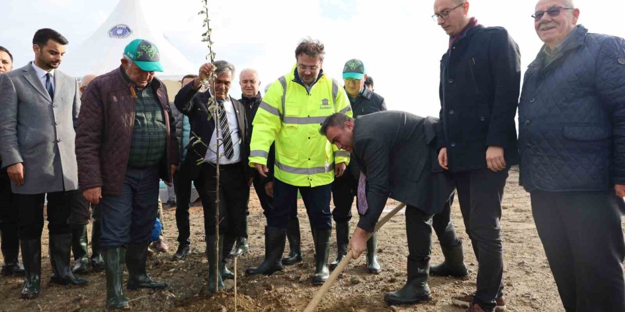 Büyükşehir’den şehit Aybüke öğretmen anısına hatıra ormanı