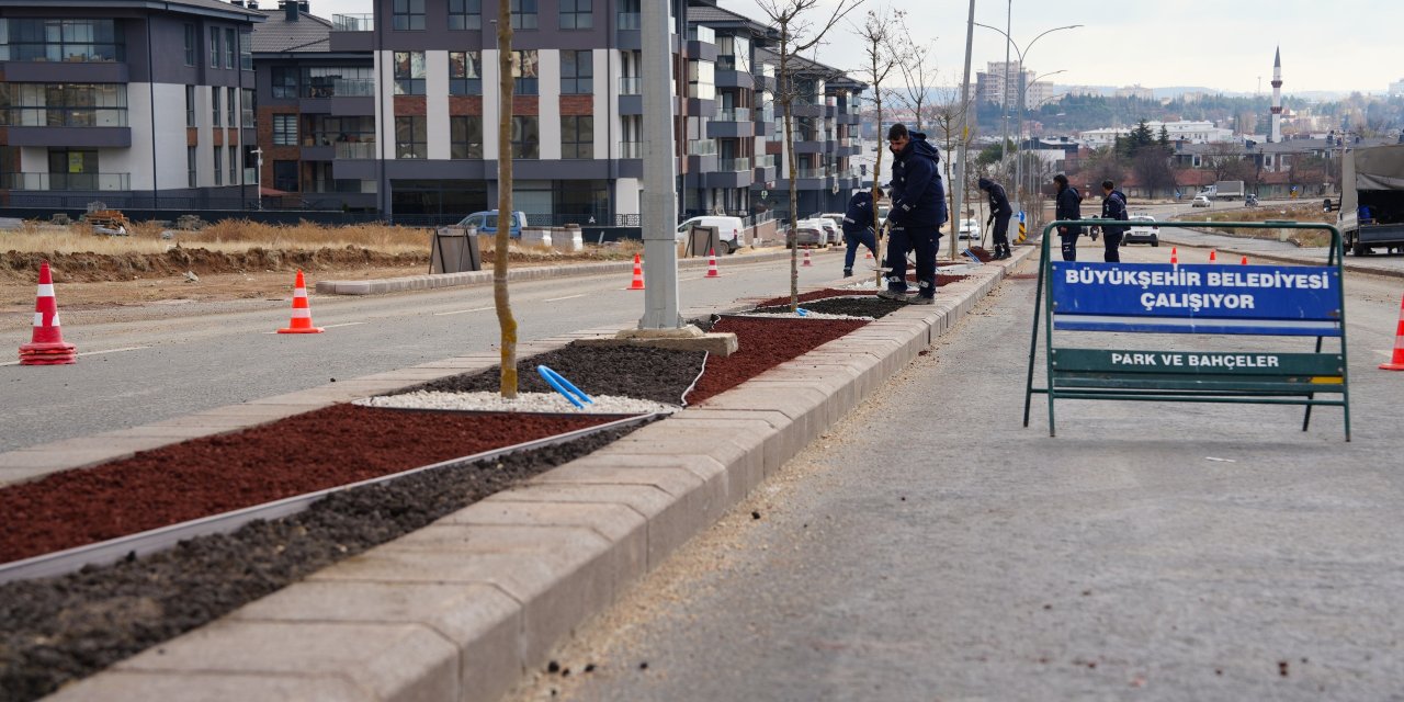 Büyükşehir kuru peyzaj uygulamasına devam ediyor