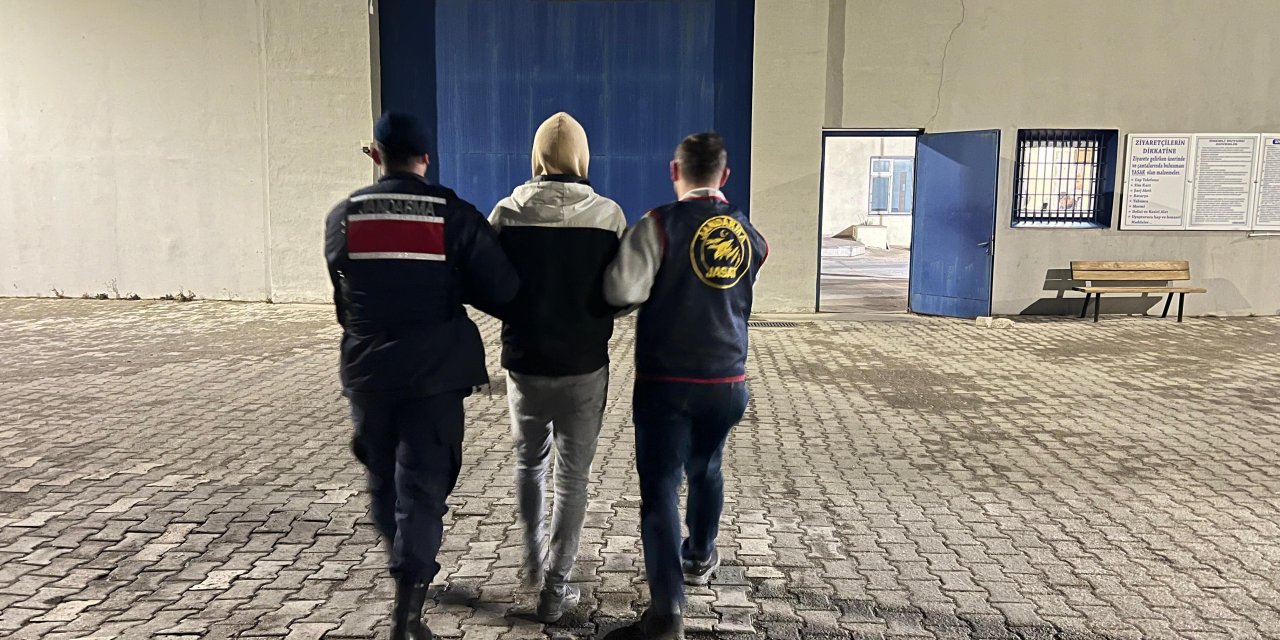 13 büyükbaş hayvan hırsızı yakalandı