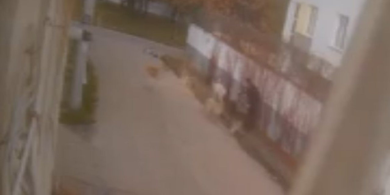 Eskişehir’de sokak köpeklerinin saldırısı kameralara yansıdı
