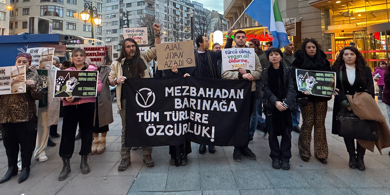 "Yaşanan ölümlere bir an evvel dur demeli"