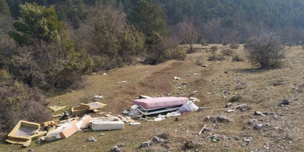 Mobilya eşyalarını doğaya attılar