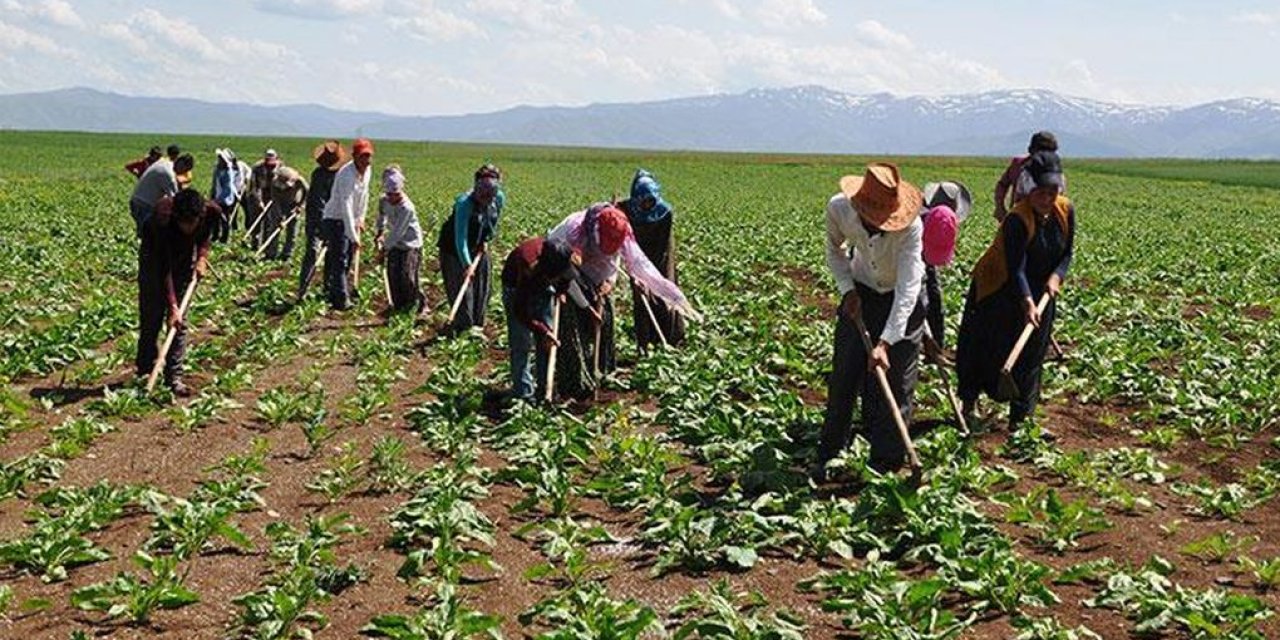 Eskişehir'de tarım işçilerine ödenen aylık ücret verileri açıklandı