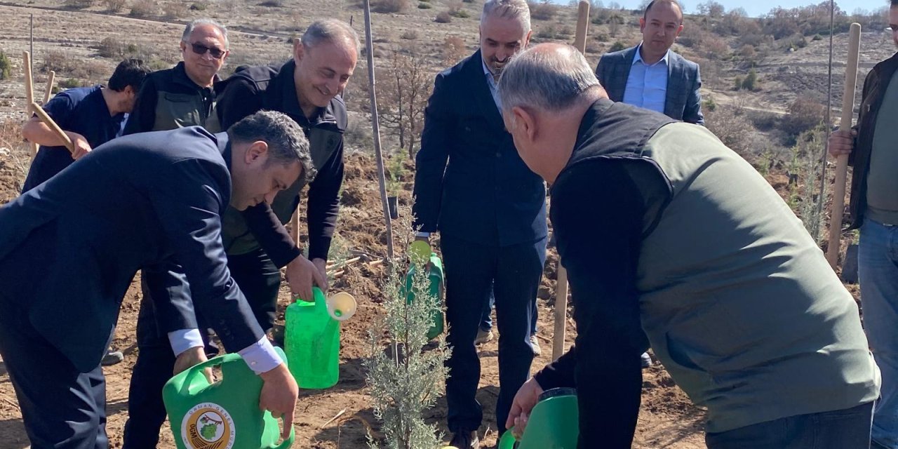 Tıbbiyeli Hikmet anısına fidan dikildi