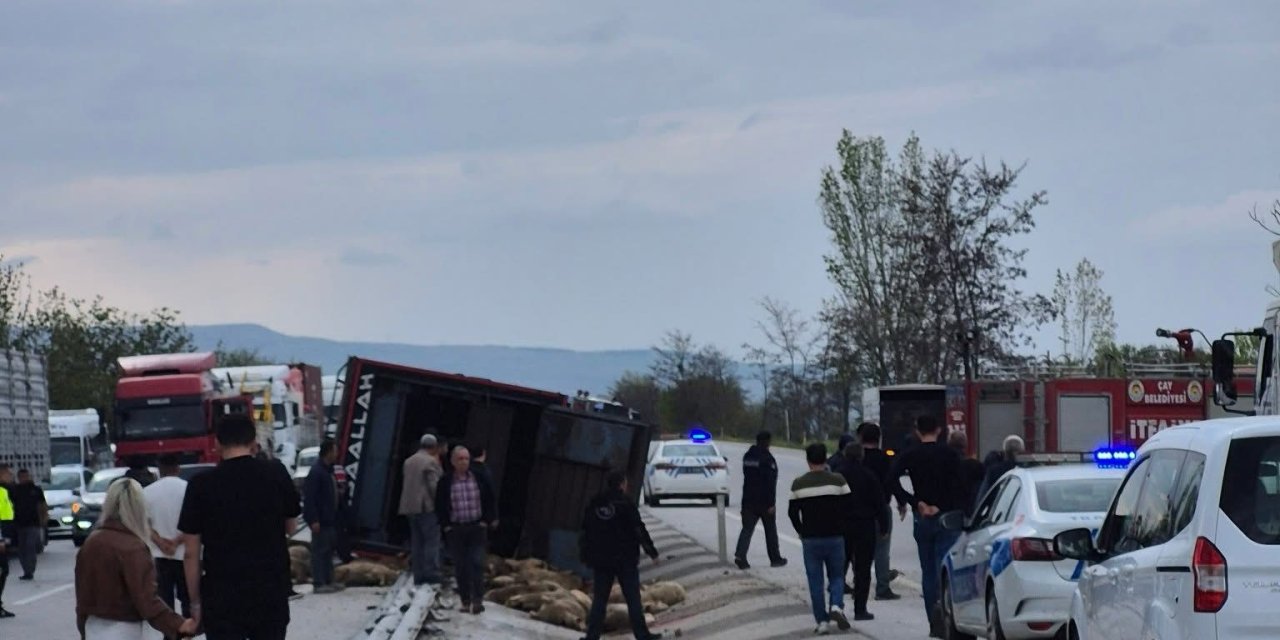 Afyonkarahisar’da küçükbaş hayvanlar telef oldu