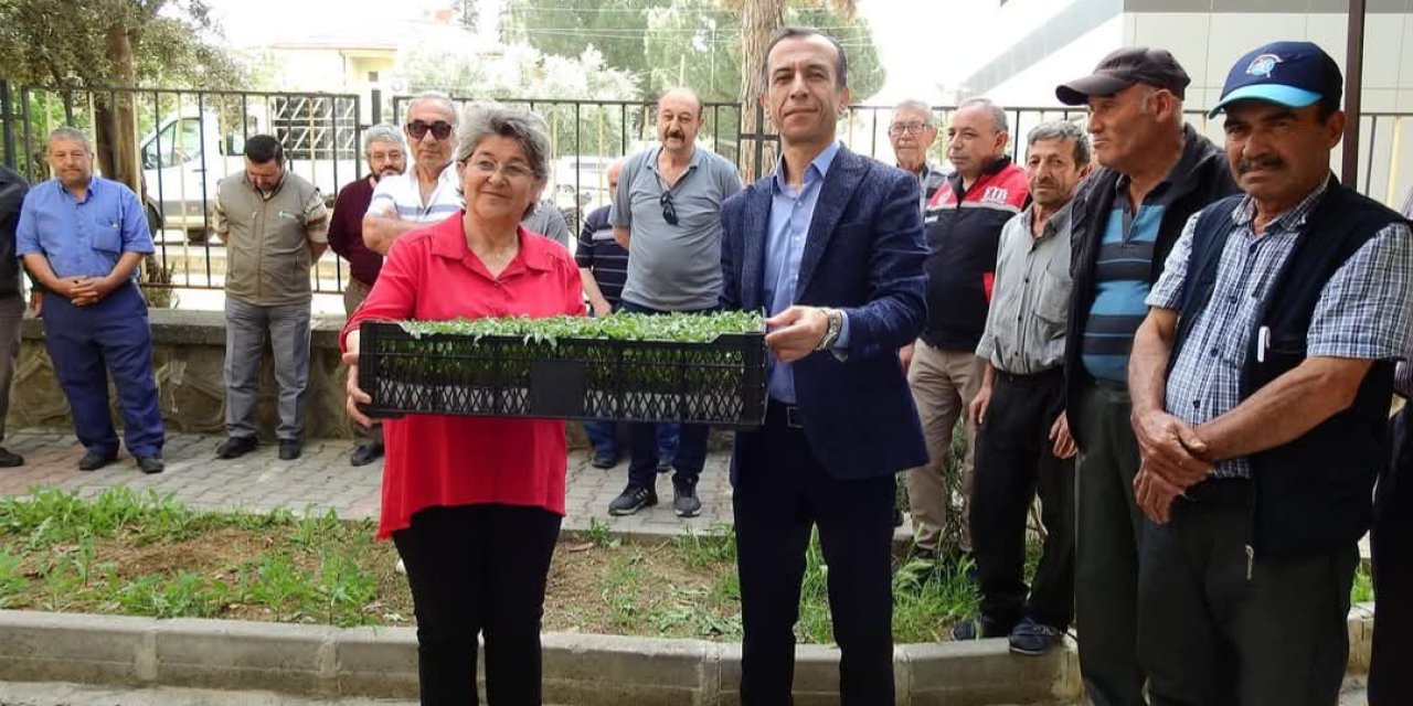 Eskişehir'de çiftçiye zeytin fidanı ve domates fidesi desteği