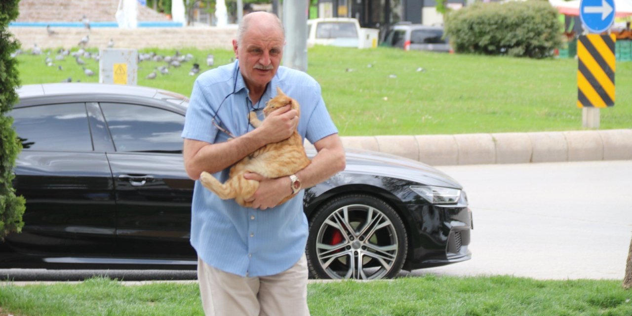 'Hayvanları Koruma Kanunu'nu ile trafik cezası iptal oldu