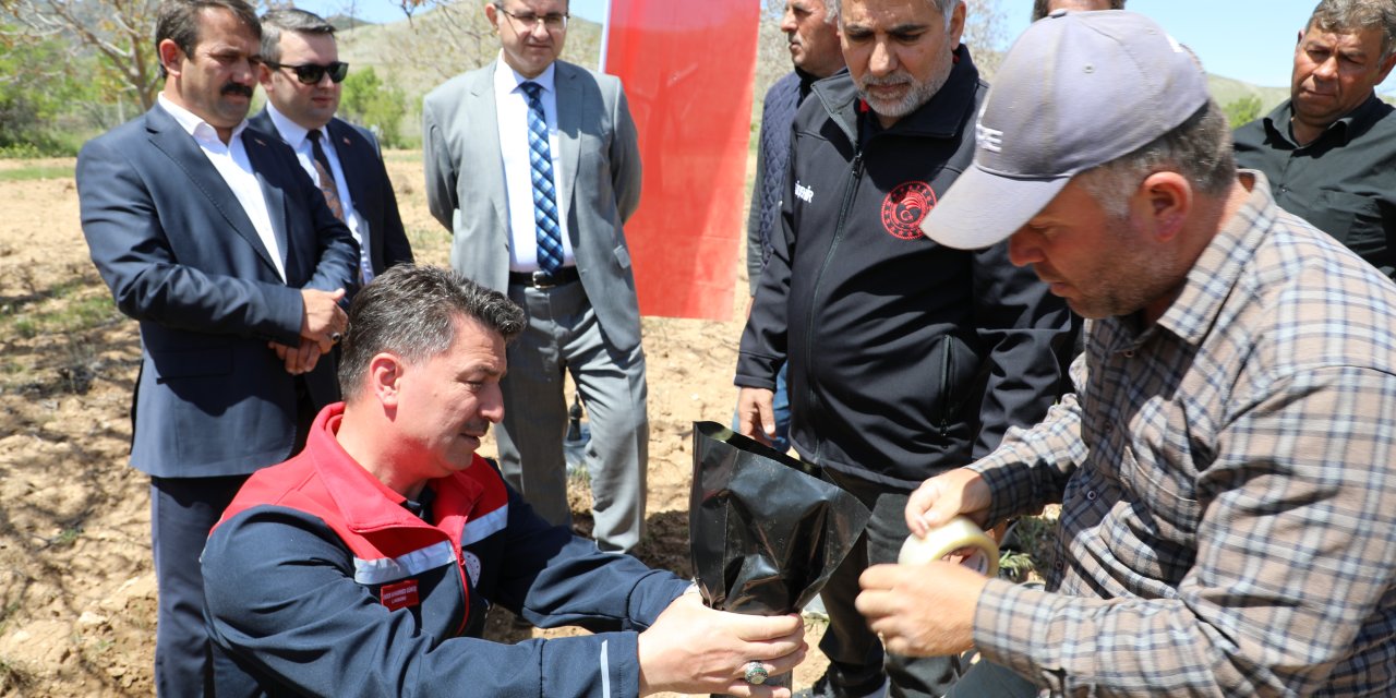 Günyüzü ilçesinde aşı kalemi uygulaması gerçekleştirildi