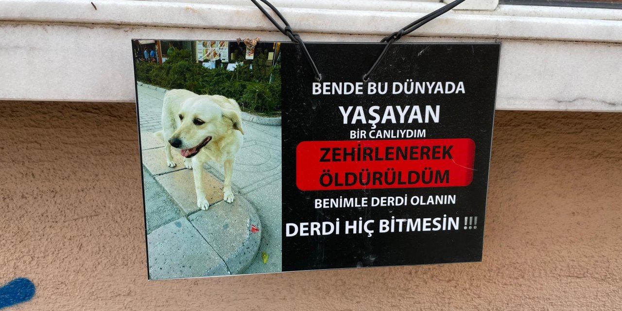 Eskişehir’de bir evin camına asılan not duygulandırdı