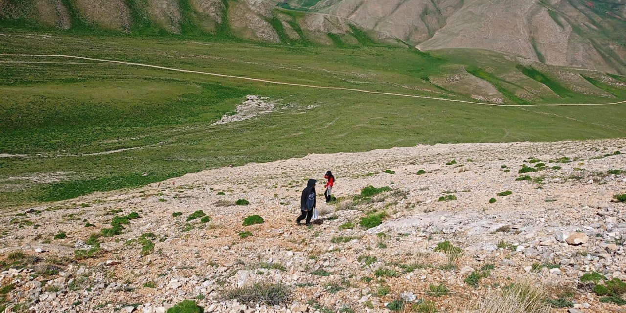 Uzmanlardan heliz otu ve mantar zehirlenmesi uyarısı