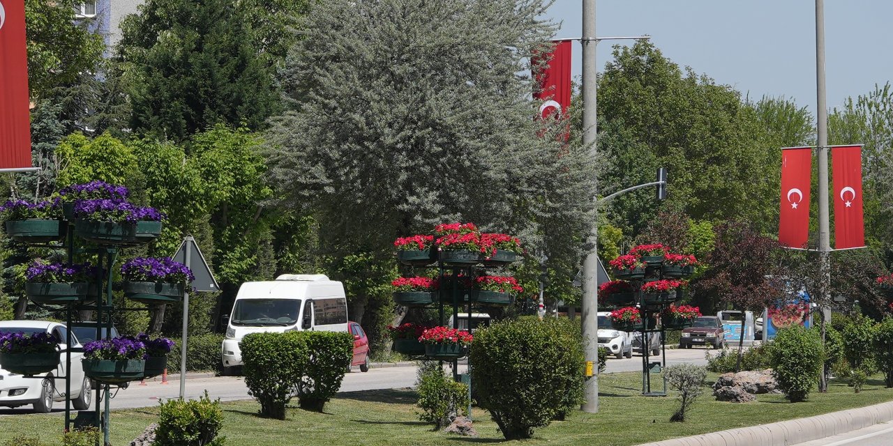 Büyükşehir refüjlere çiçeklerle renk kattı