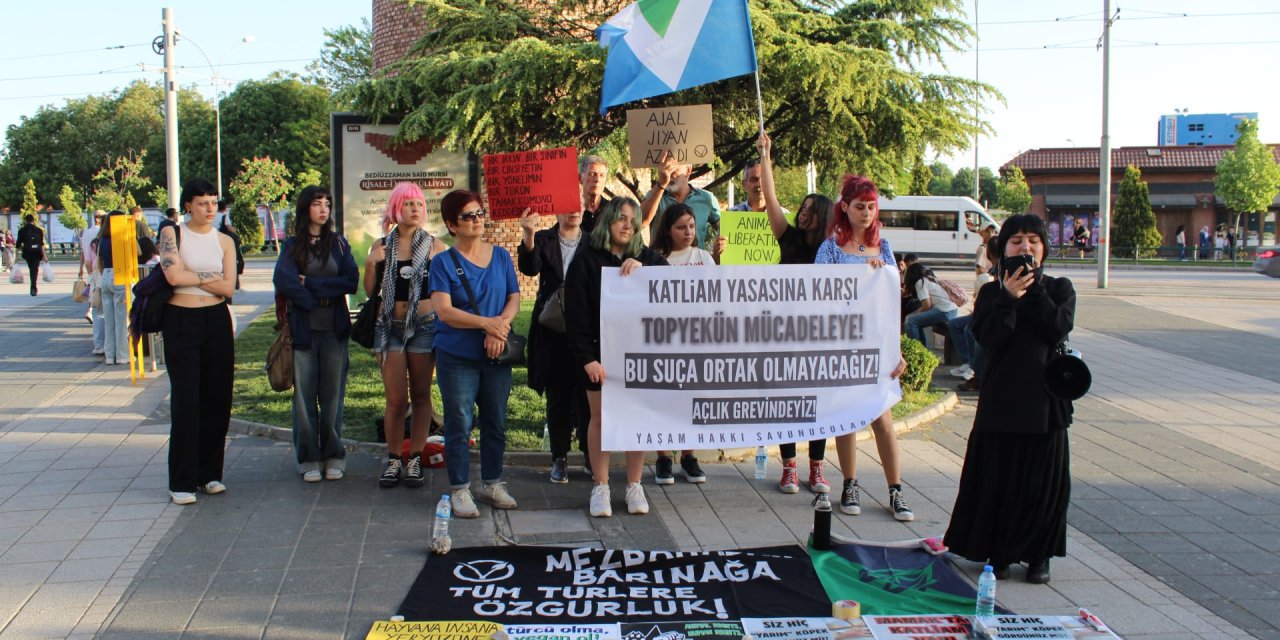 Sokaktaki canlar için açlık grevi