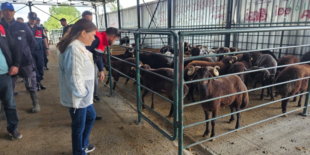 Eskişehir Kurban Pazarında denetimler yapıldı