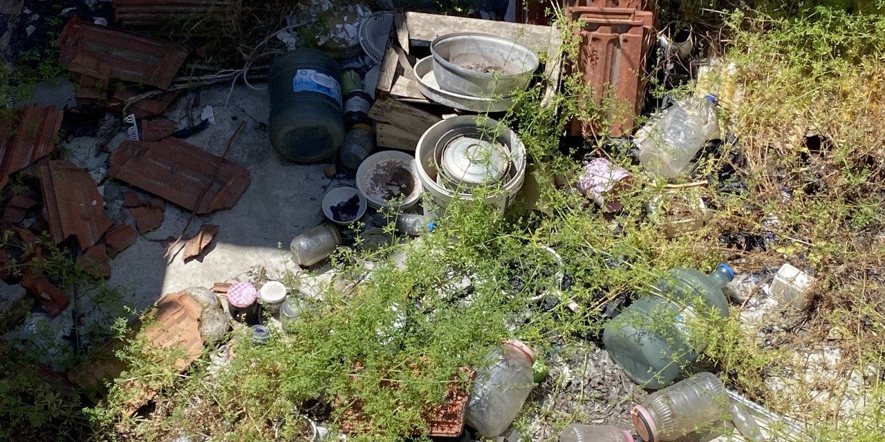 Eskişehir'de çöp evde onlarca kedi ölüsü olduğu öne sürülüyor!