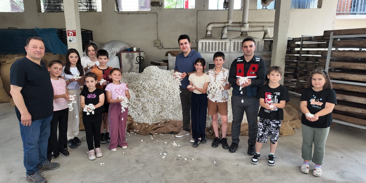 İpekböceği ıslah çalışmaları yaparak neslin devamını sağlıyor