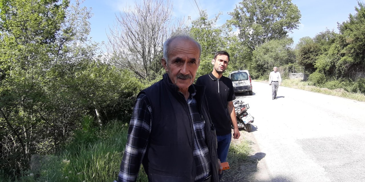Yavru karacaya araba çarptı