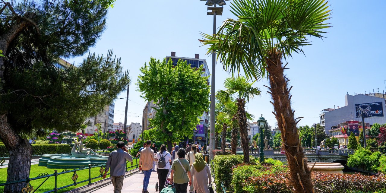 Eskişehir palmiyeleri ve zakkumlar ile süslendi