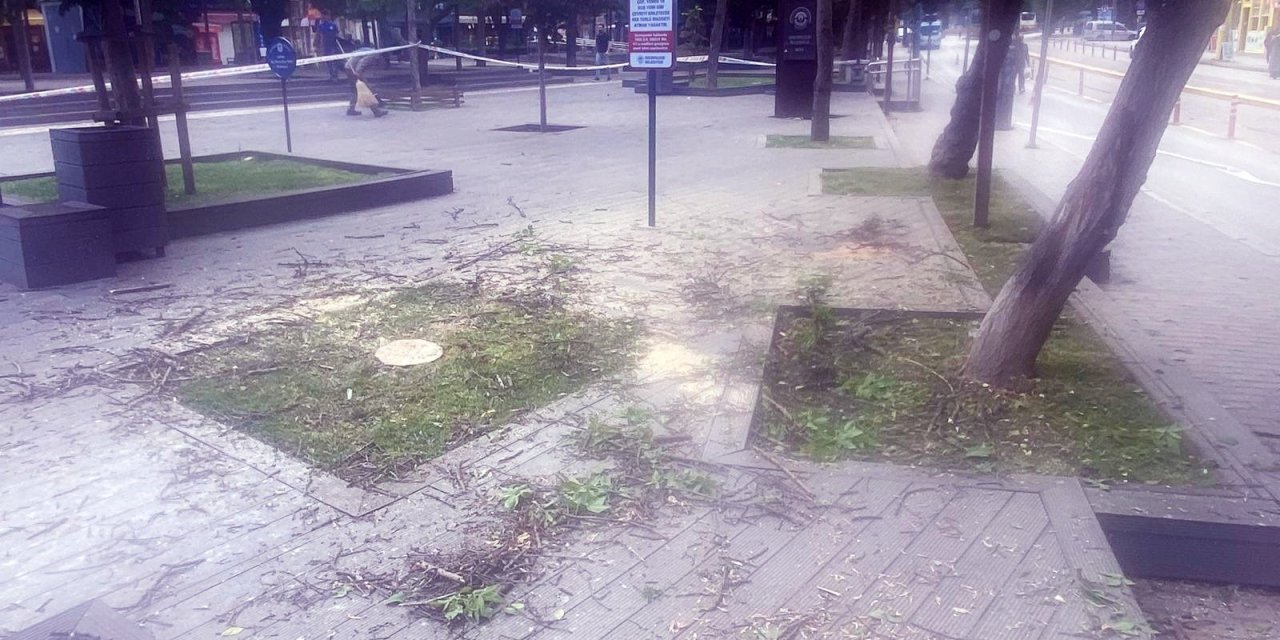Hamamyolu Caddesi’nde yapılan ağaç kesimi tepki topladı