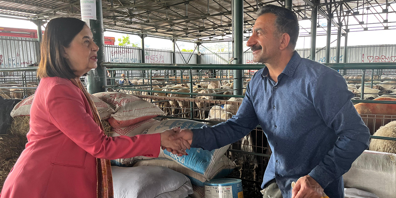 CHP'li Süllü: "Hayvancılık sektörü can çekişiyor"