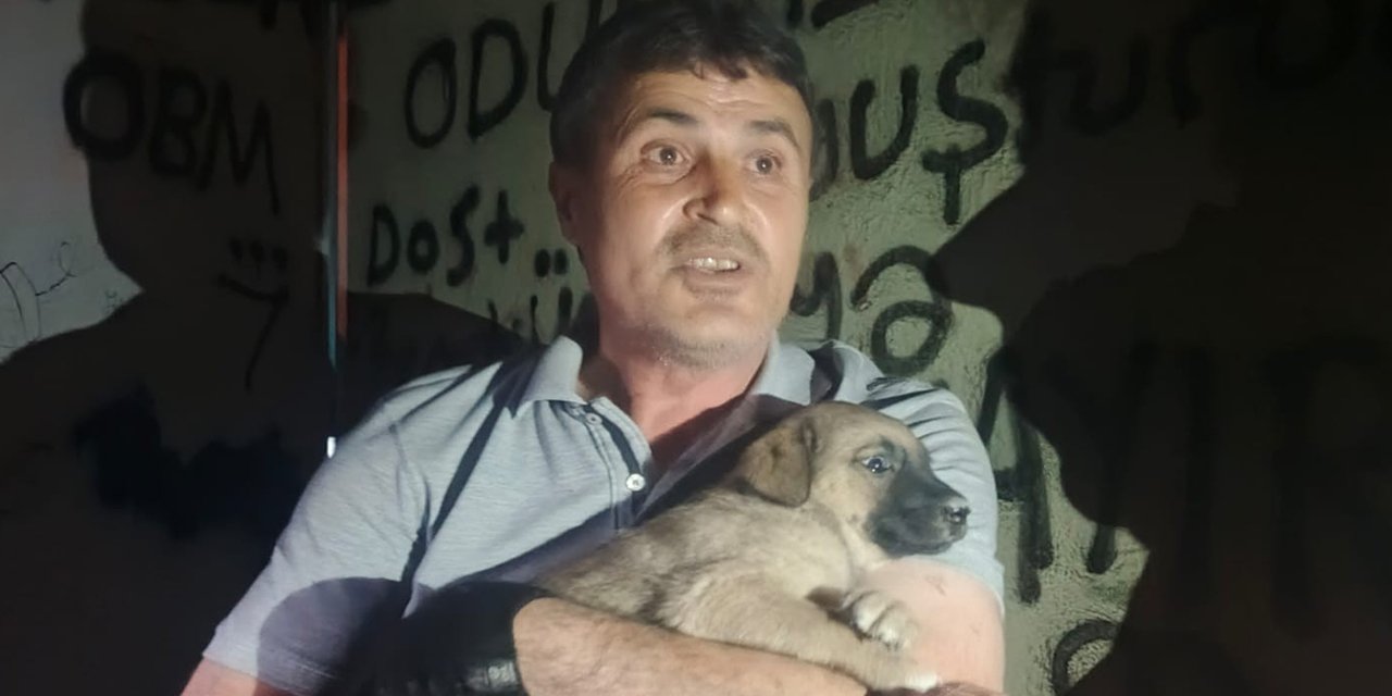 Eskişehir'de trafoda mahsur kalan yavru köpek böyle kurtarıldı