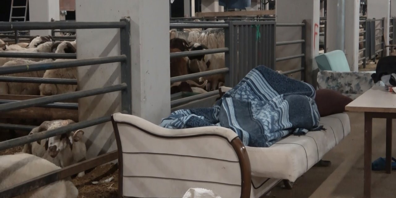 Kurban pazarlarında nöbet tutuluyor