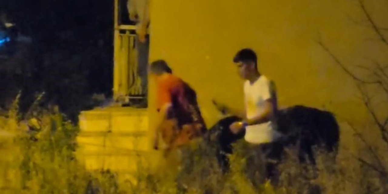 Hayvan pazarından kaçan boğa trafiği birbirine kattı
