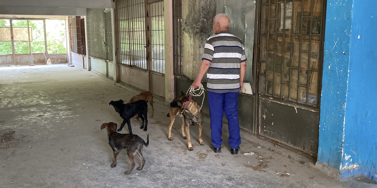 Eskişehir’de 6 köpek 15 gün aç ve susuz şekilde depoda mahsur kaldı