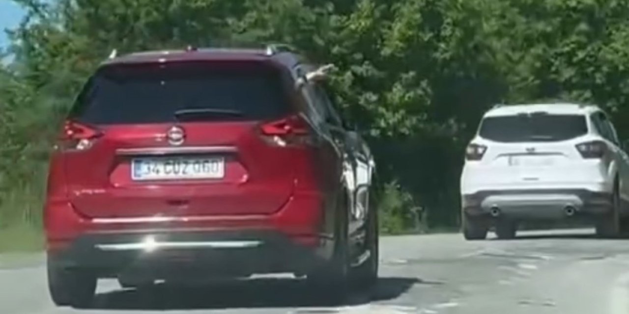 Doğayı ziyaret etmeye giderken çevreyi böyle kirlettiler
