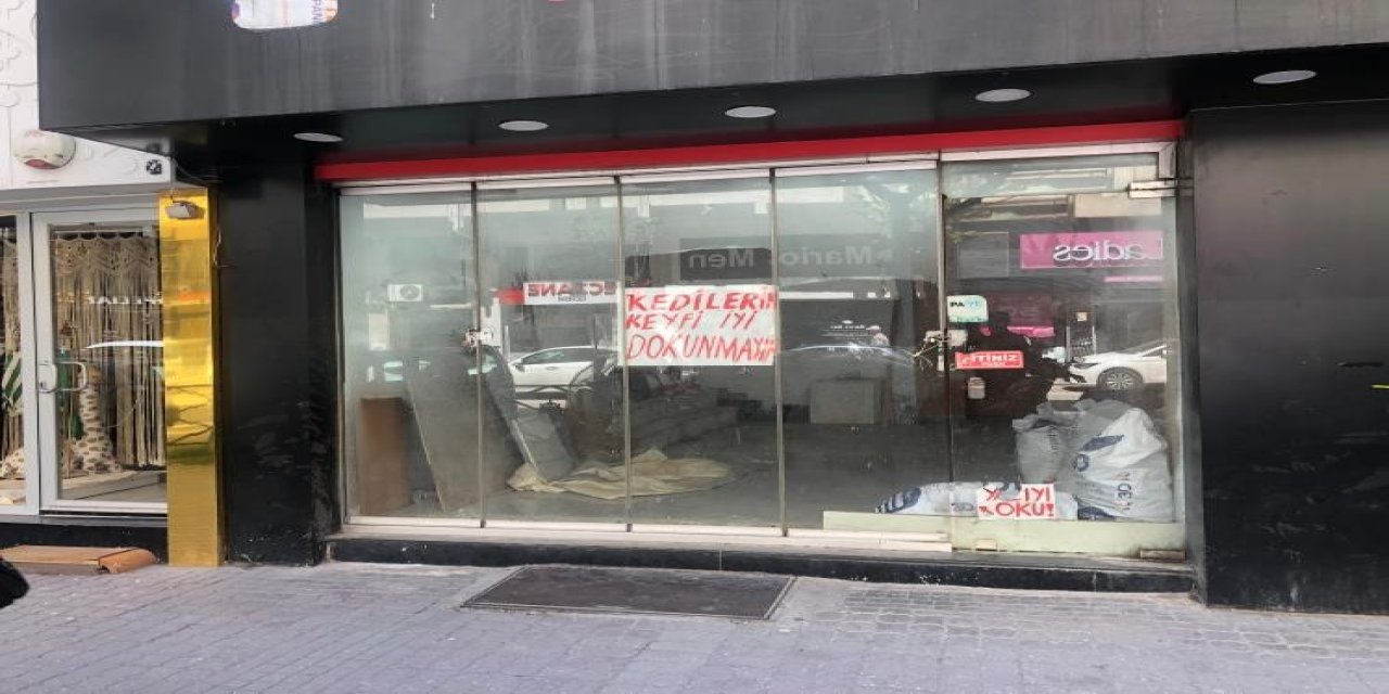 Eskişehir'de boş dükkanında duran kediler endişe yarattı