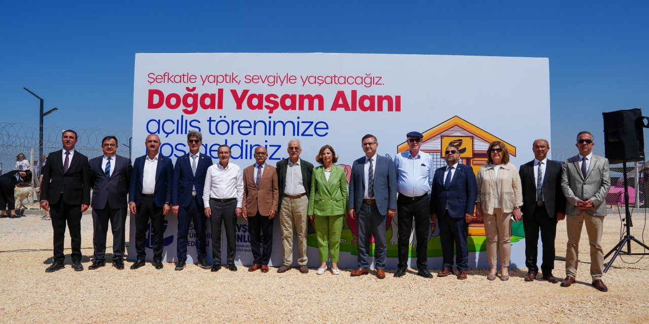Sokaktaki canlar için örnek yaşam alanı