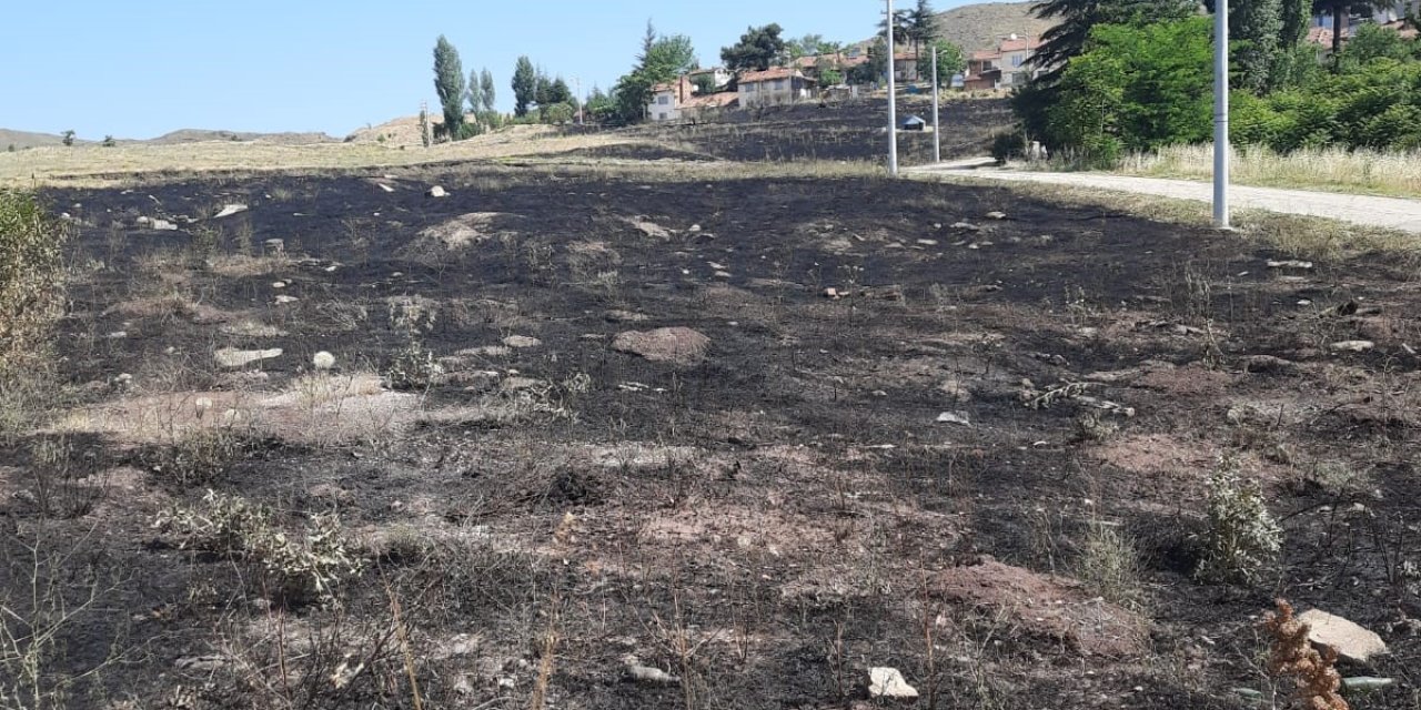 Eskişehir'de torpil yangın çıkarttı!