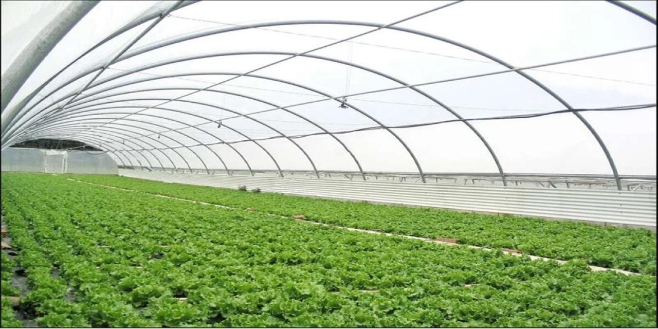 Eskişehir kırsalına dev hibe desteği: 217 kişiye istihdam fırsatı