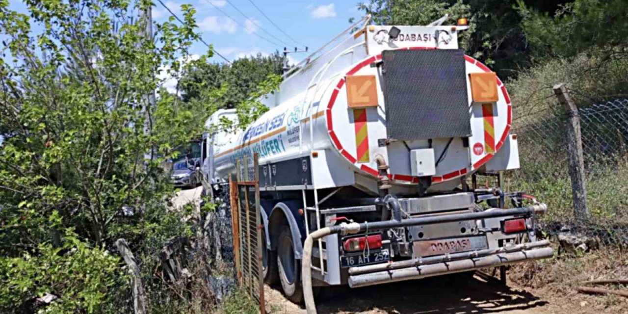 Dağyenice’de 25 dönüm küle döndü