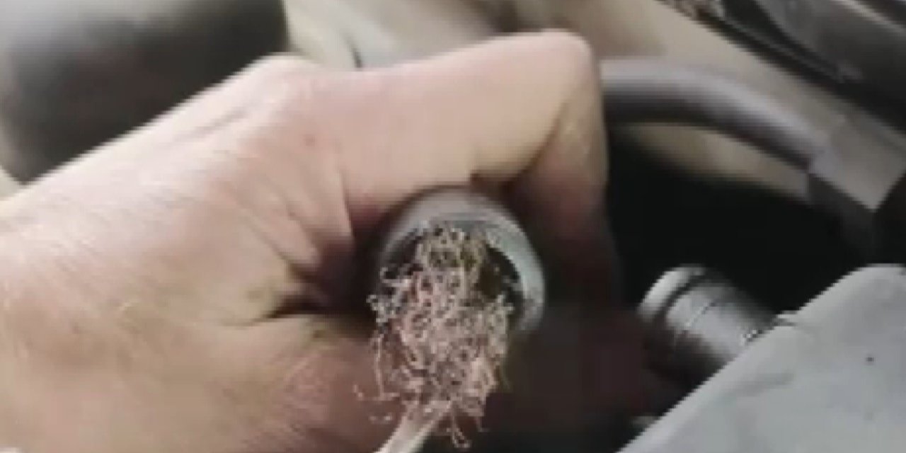 Ekspertize götürülen otomobilden çıkanlar şok etti