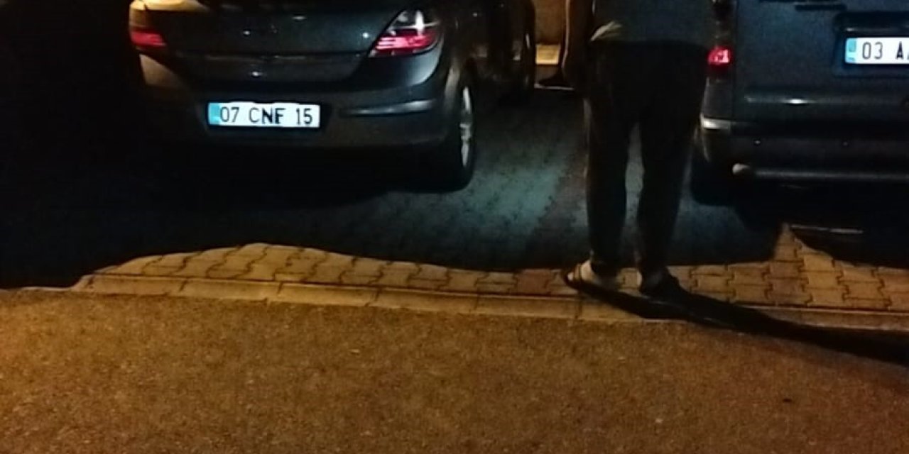 Vatandaşlar gece yarısı fare avına çıktı