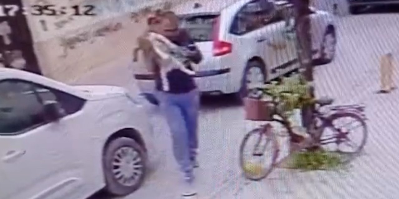 Eskişehir’de köpeği yere fırlatan şahsın cezası belli oldu